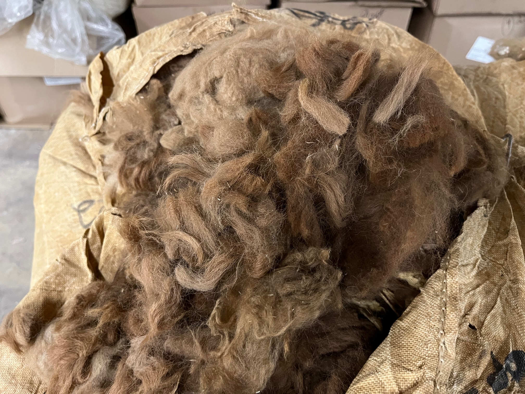 Raw Alpaca Fiber & Fleece for Sale
