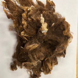 Scoured Brown USA Merino