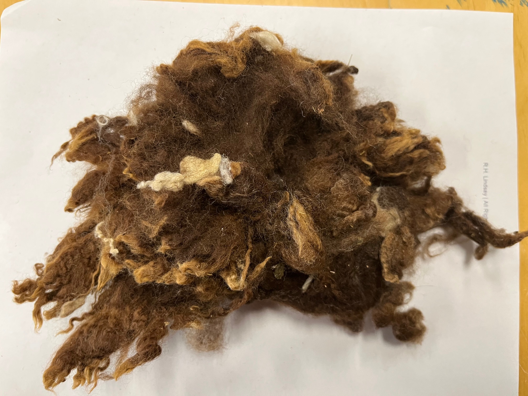 Scoured Brown USA Merino