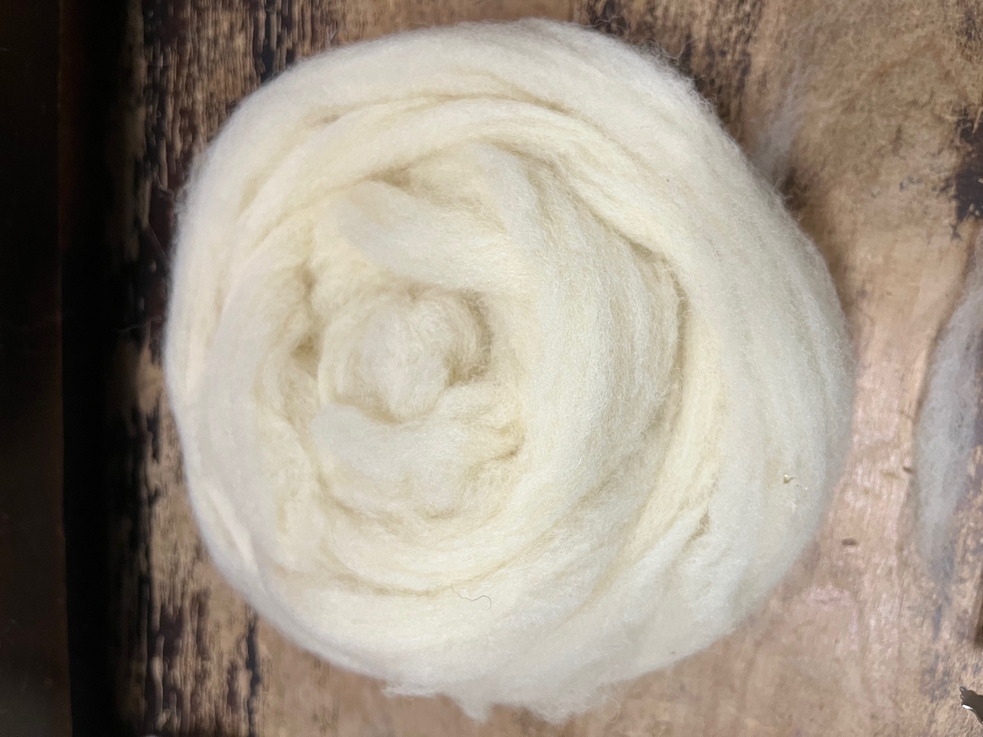 Combed USA Dorset Wool