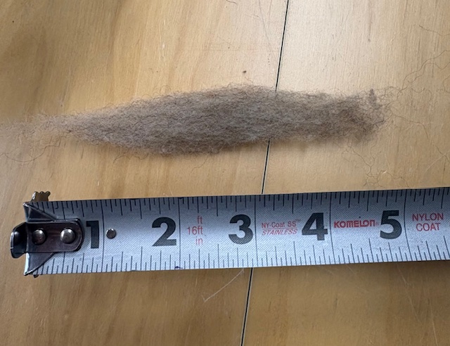 23D Light Grey Local Carded Sliver