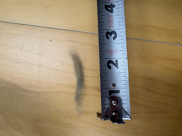 Dyed Sage Domestic Wool Sliver