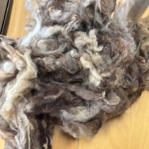 Grey/Brown Scoured USA Romney